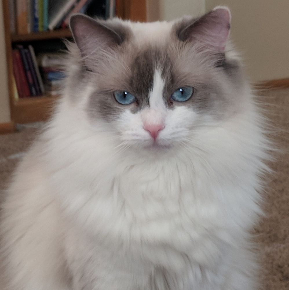 Meet your Posher, Theresa